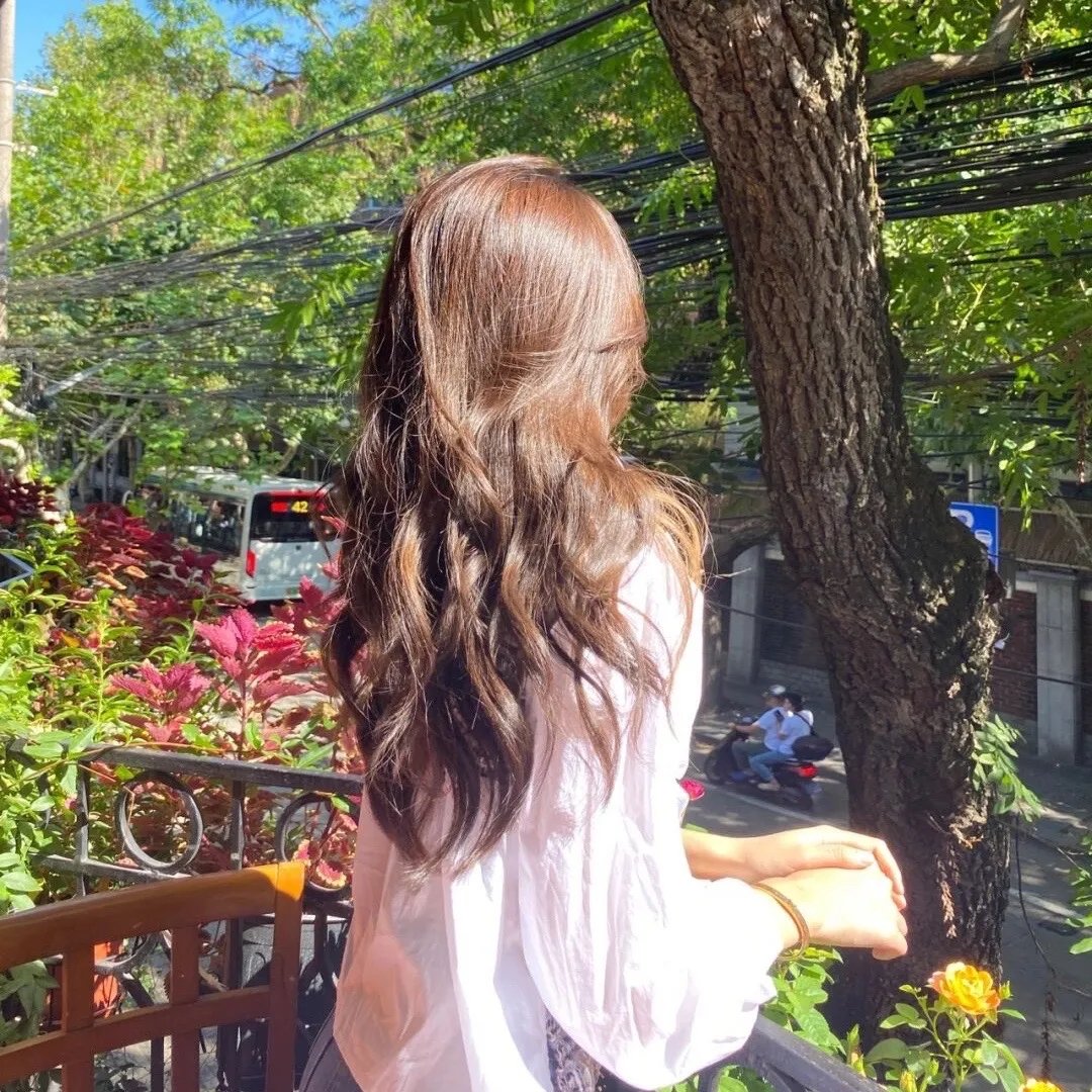 鸠占鹊巢顶流夫人的致命陷阱